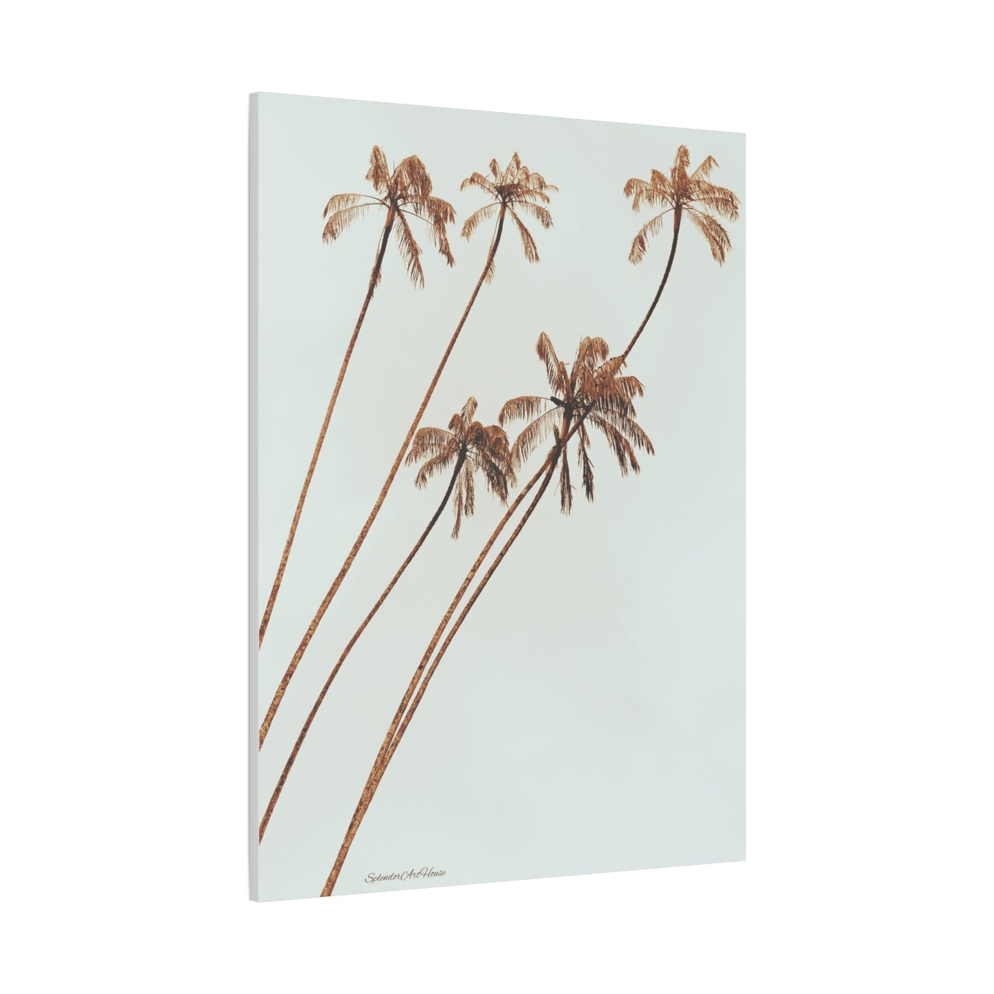 Palm Tree, Matte Canvas, Stretched, 1.25"