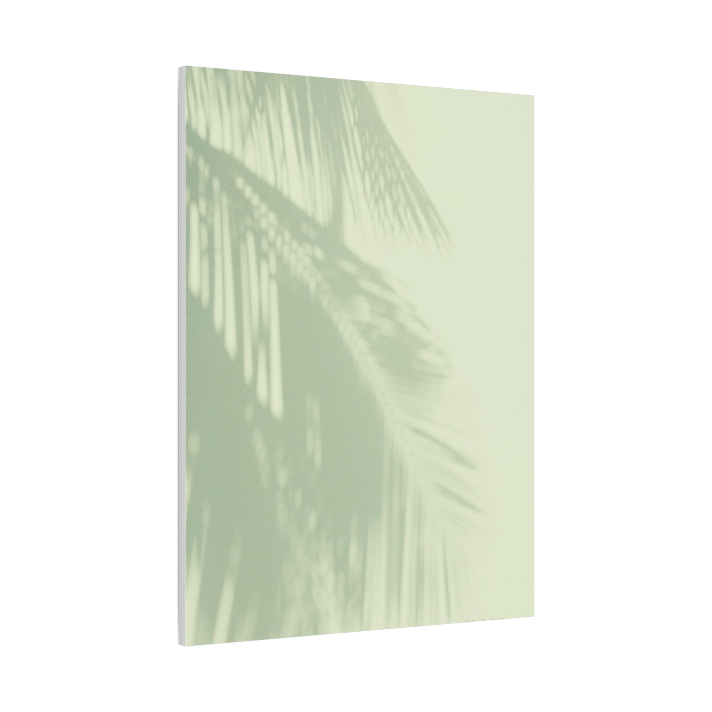 Palm Tree, Matte Canvas, Stretched, 1.25"