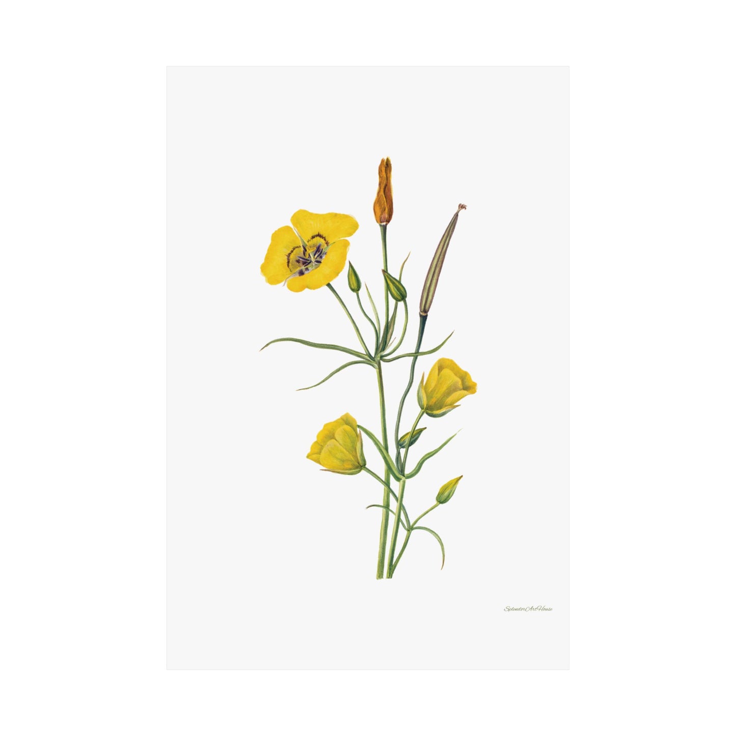 Floral, Matte Vertical Poster