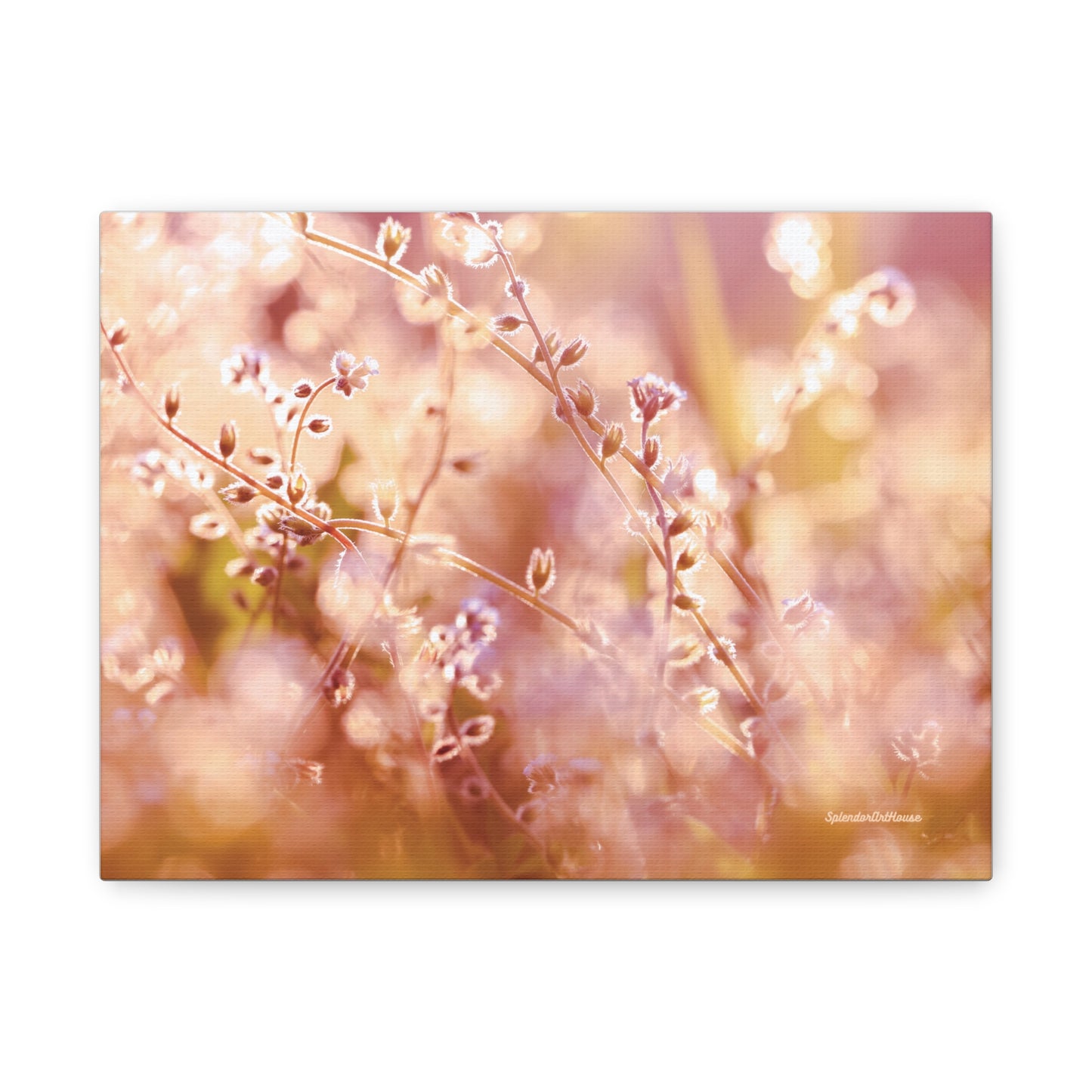 Floral, Matte Canvas, Stretched, 1.25"