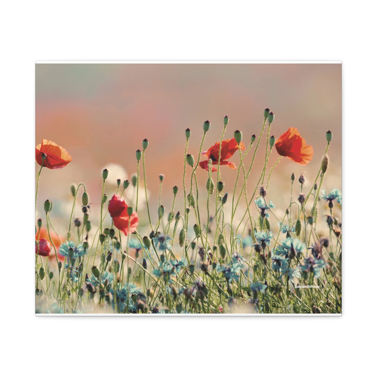 Floral, Matte Canvas, Stretched, 1.25"