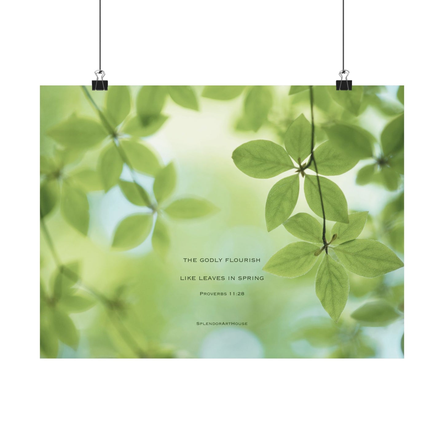 Inspirational, Matte Horizontal Poster