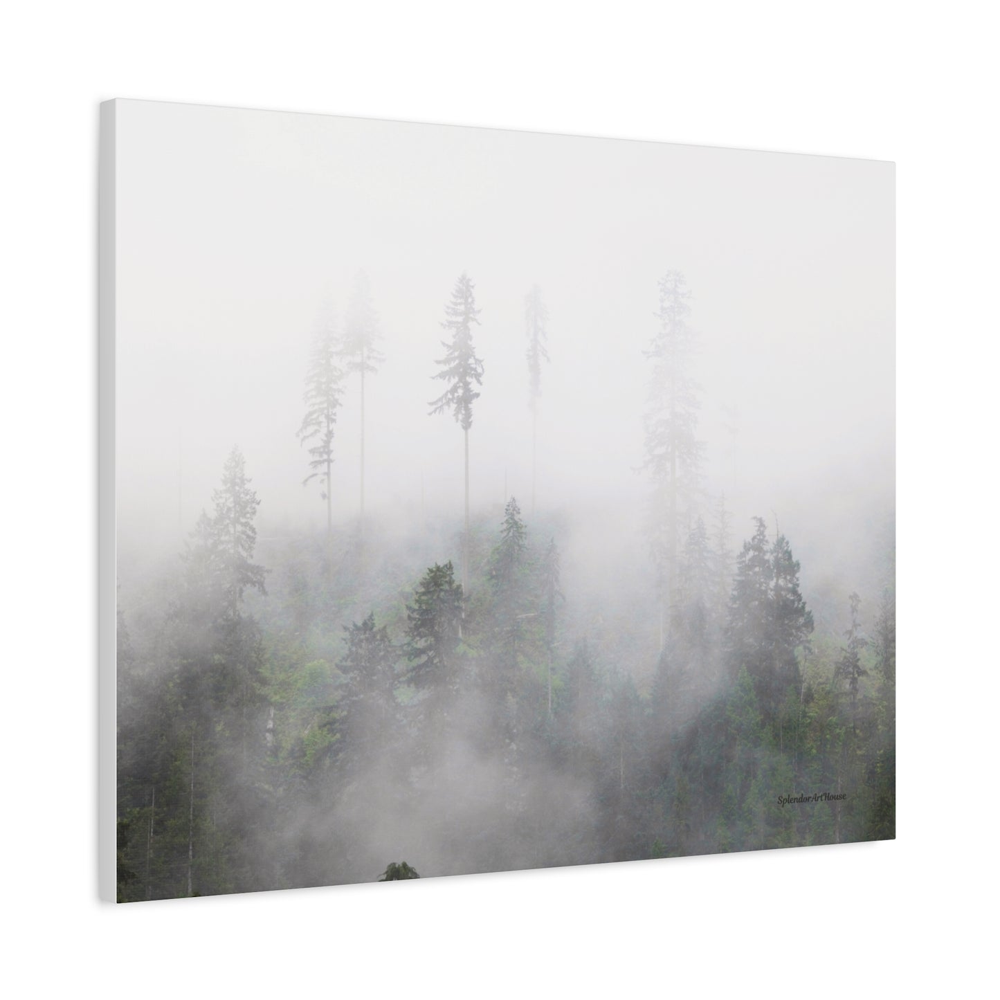 Forest, Matte Canvas, Stretched, 1.25"