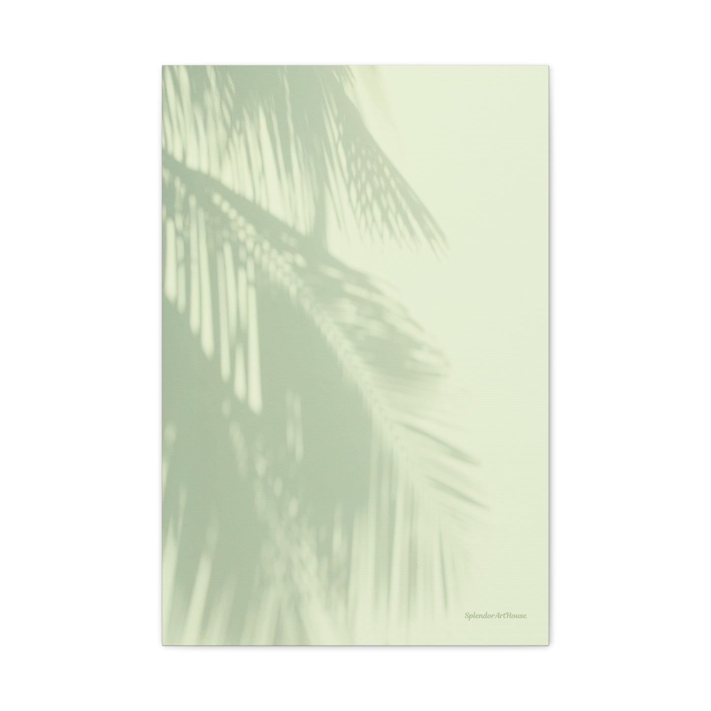 Palm Tree, Matte Canvas, Stretched, 1.25"