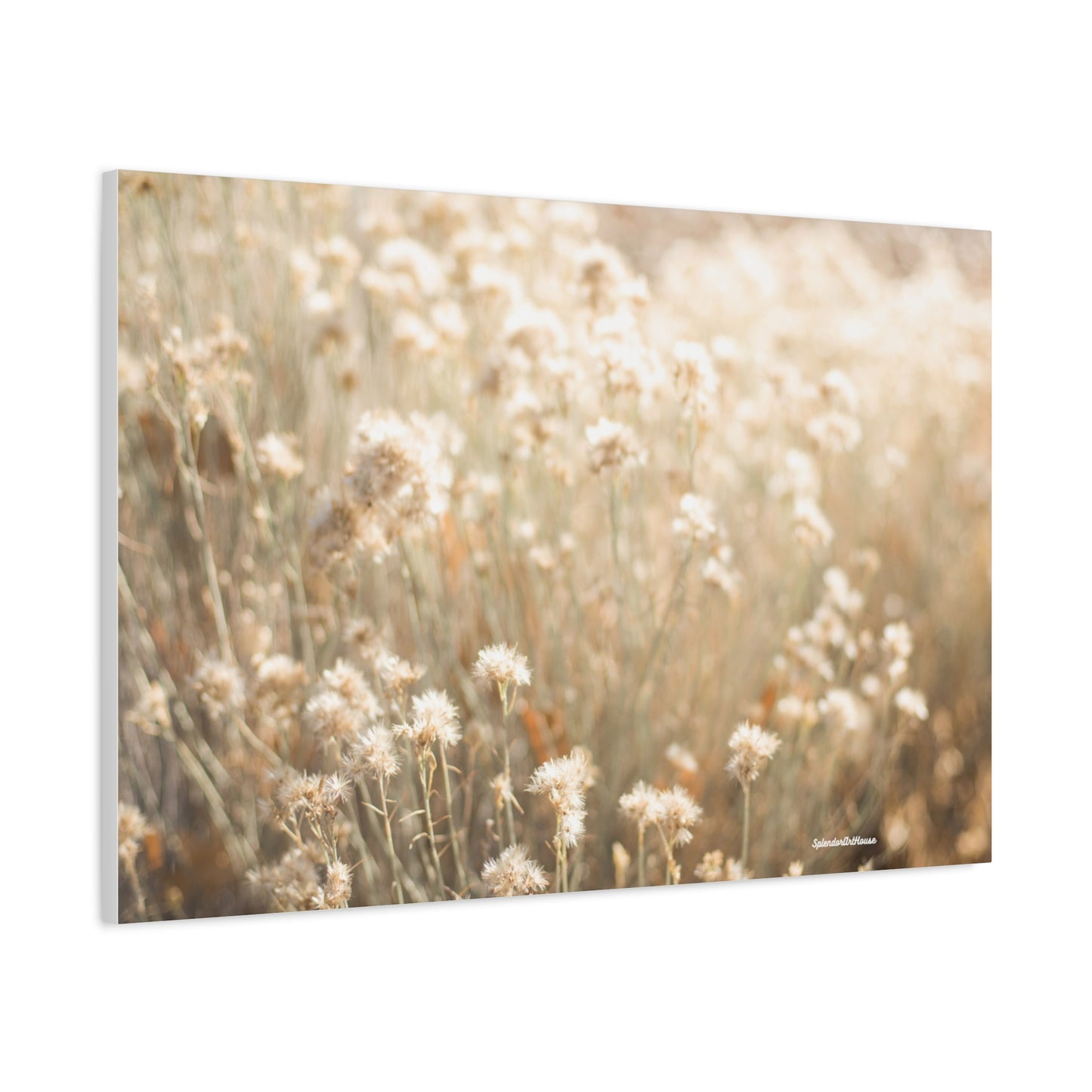 Floral, Matte Canvas, Stretched, 1.25"