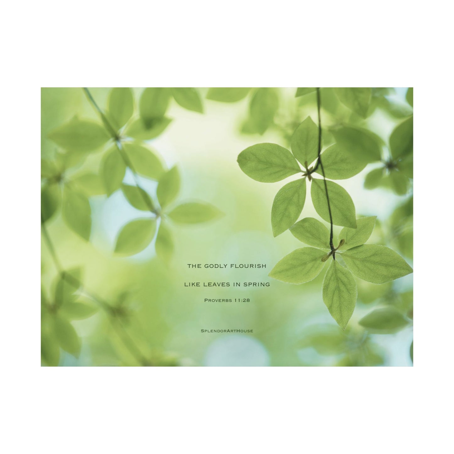 Inspirational, Matte Horizontal Poster
