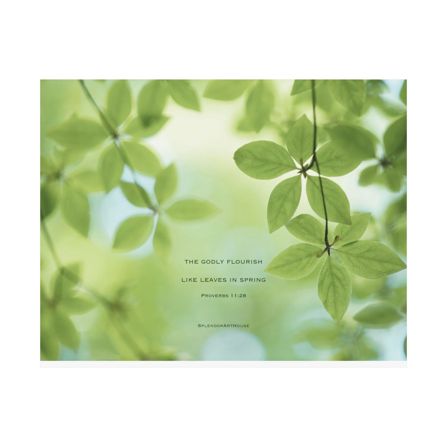 Inspirational, Matte Horizontal Poster