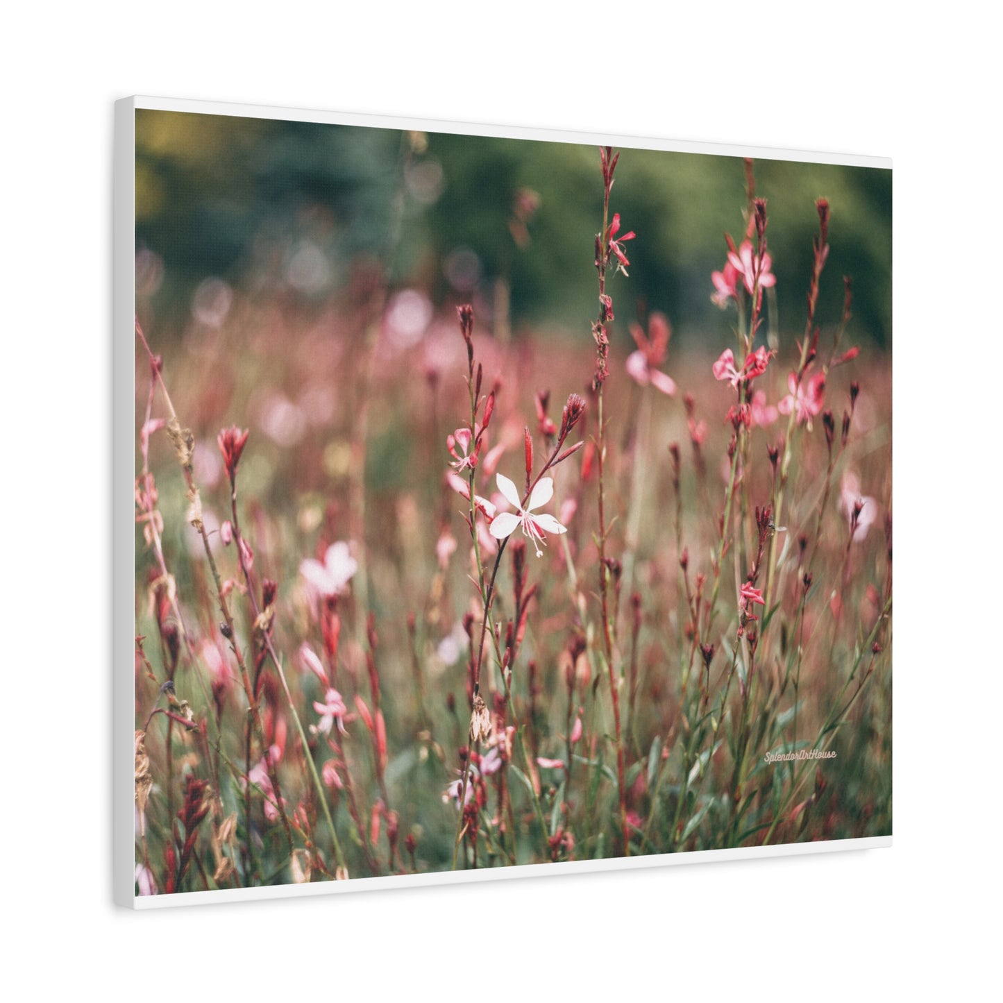 Floral, Matte Canvas, Stretched, 1.25"