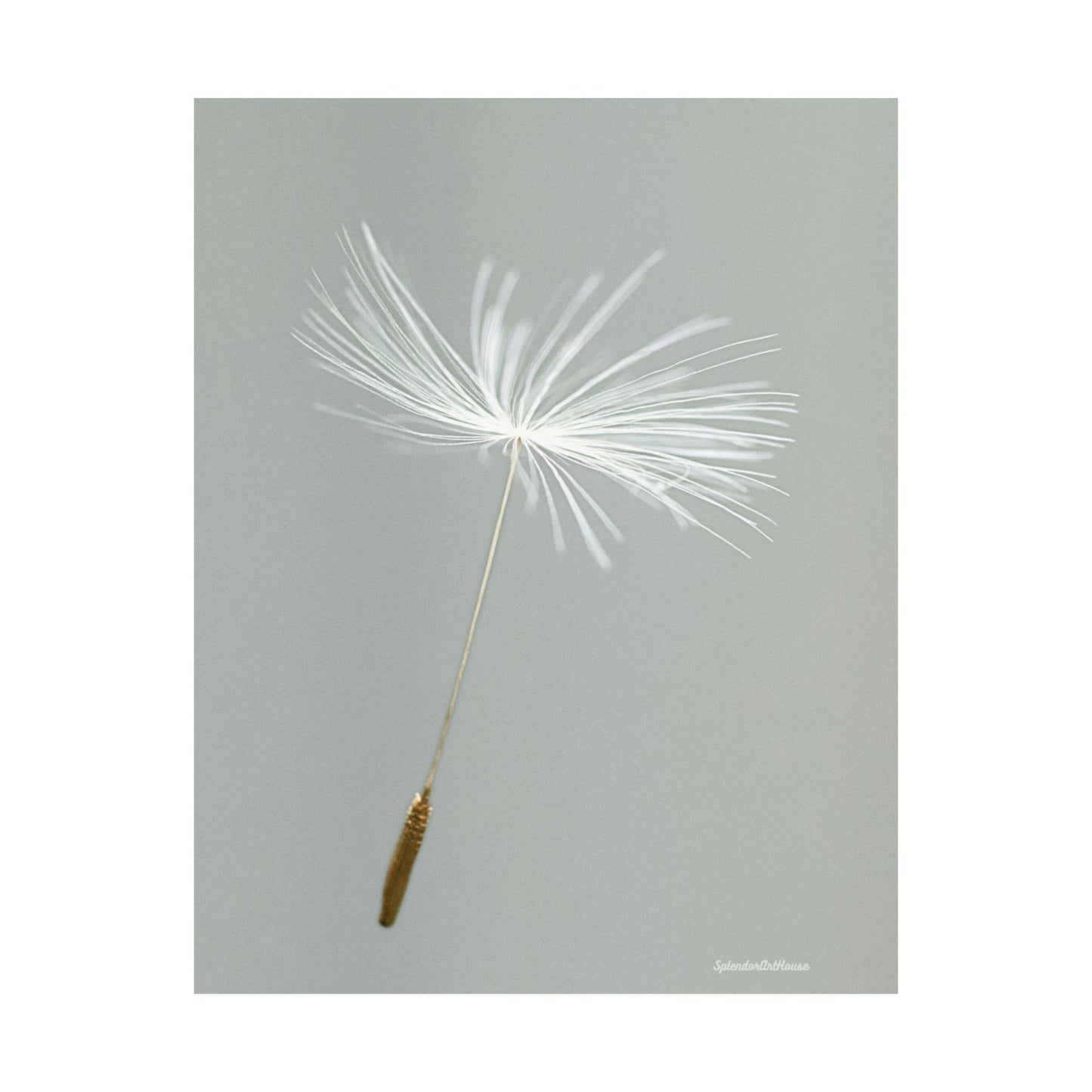 Floral, Matte Vertical Poster