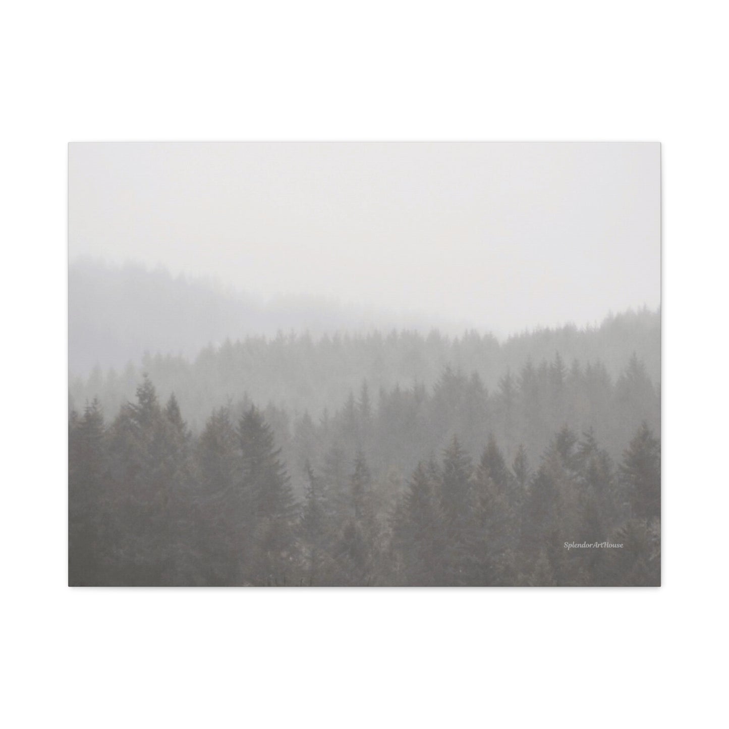 Forest, Matte Canvas, Stretched, 1.25"