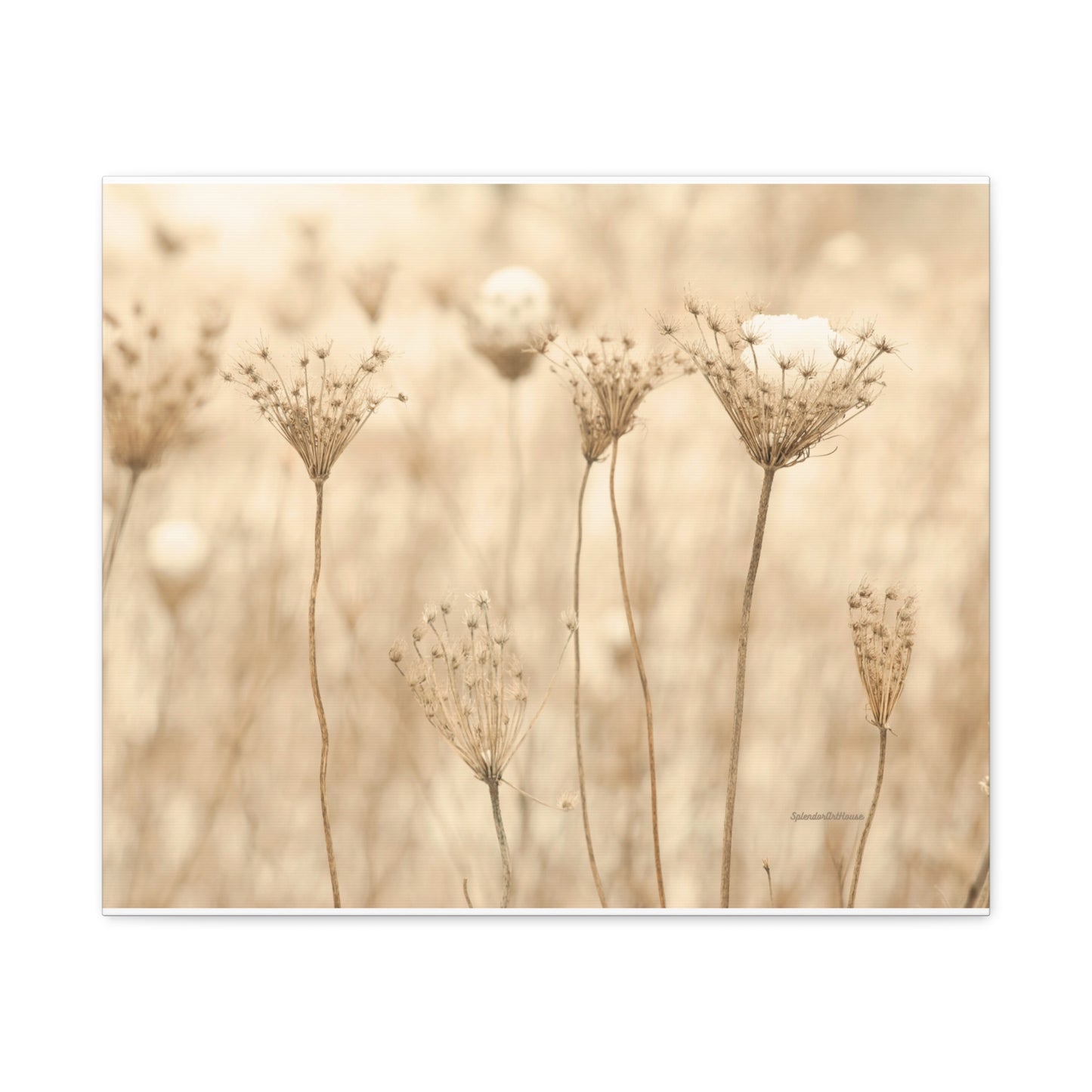 Floral, Matte Canvas, Stretched, 1.25"