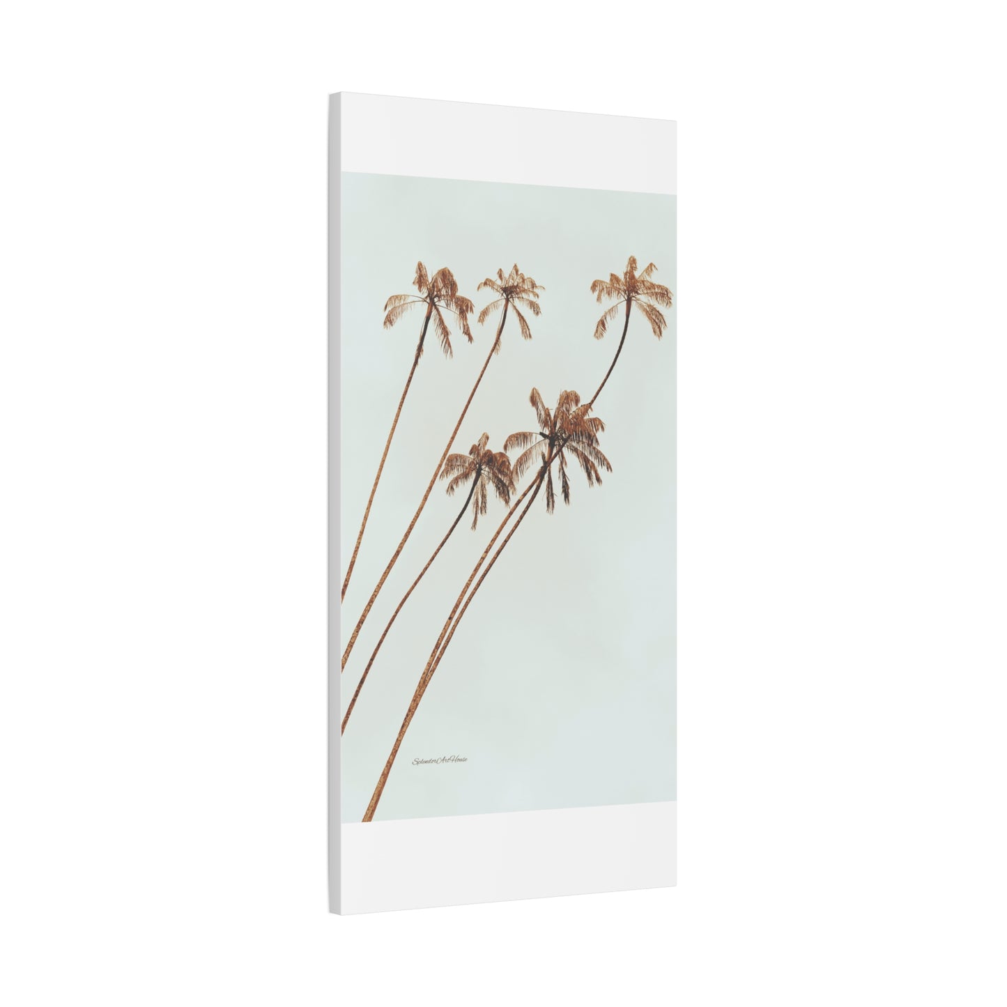 Palm Tree, Matte Canvas, Stretched, 1.25"