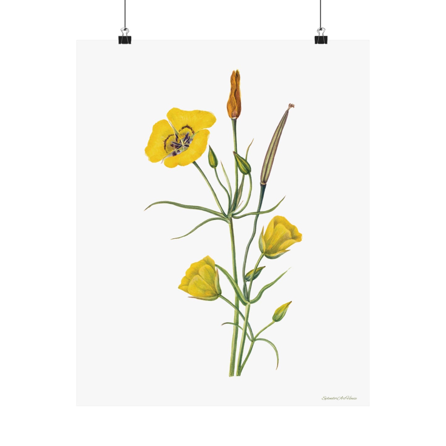 Floral, Matte Vertical Poster