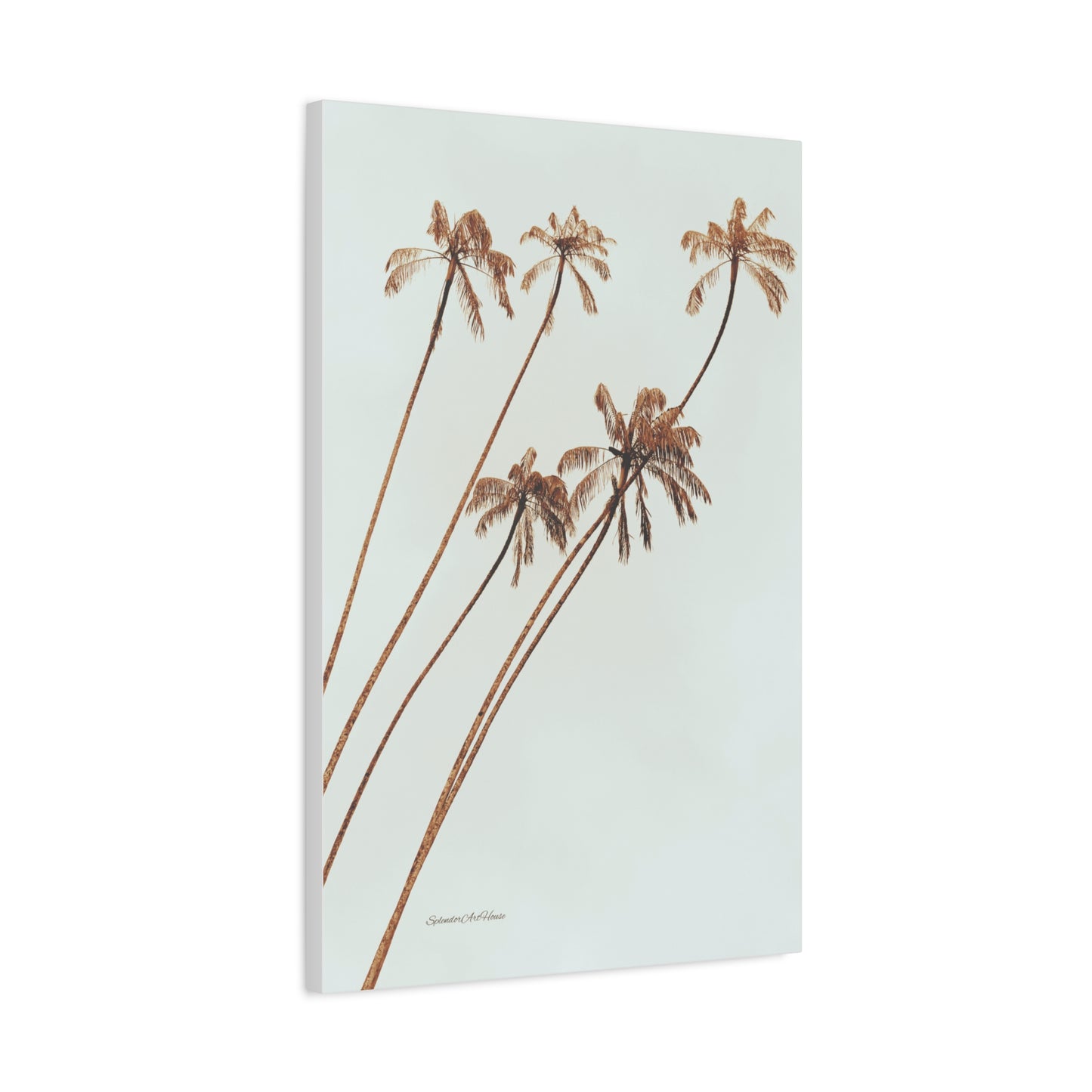 Palm Tree, Matte Canvas, Stretched, 1.25"