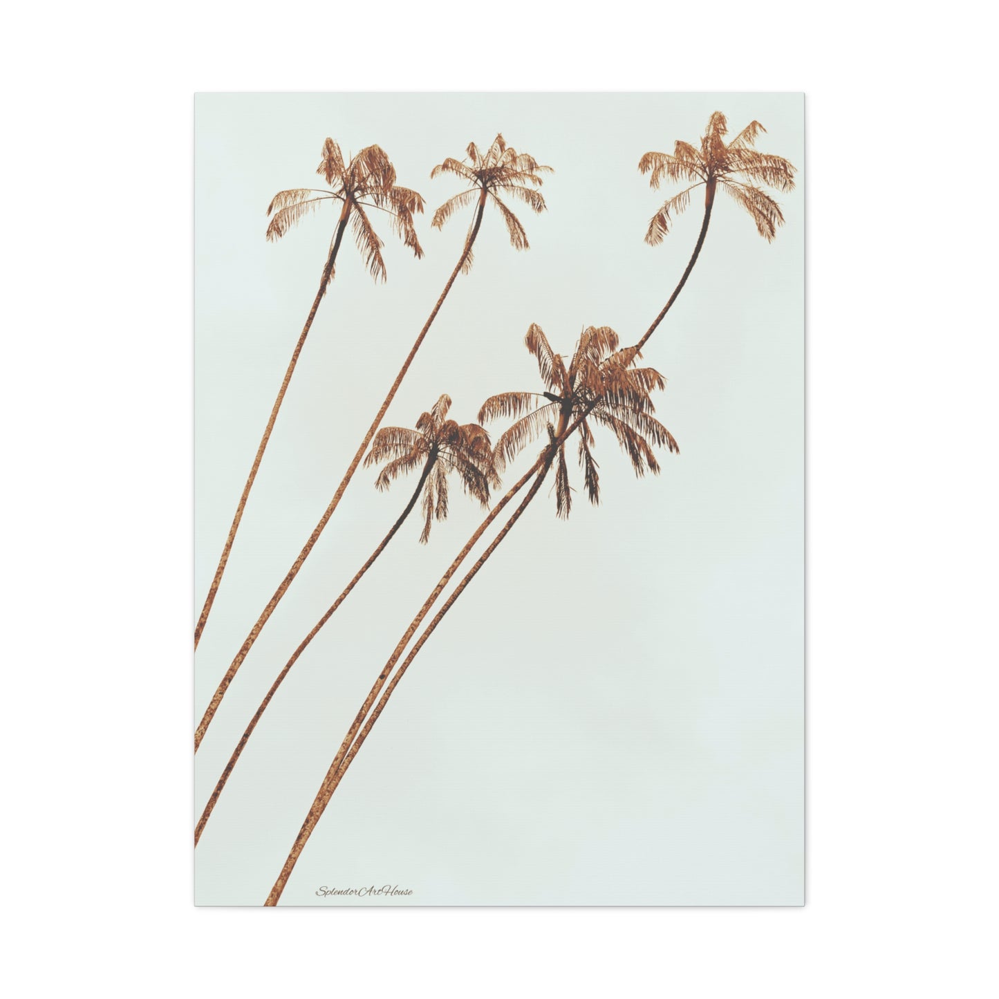 Palm Tree, Matte Canvas, Stretched, 1.25"