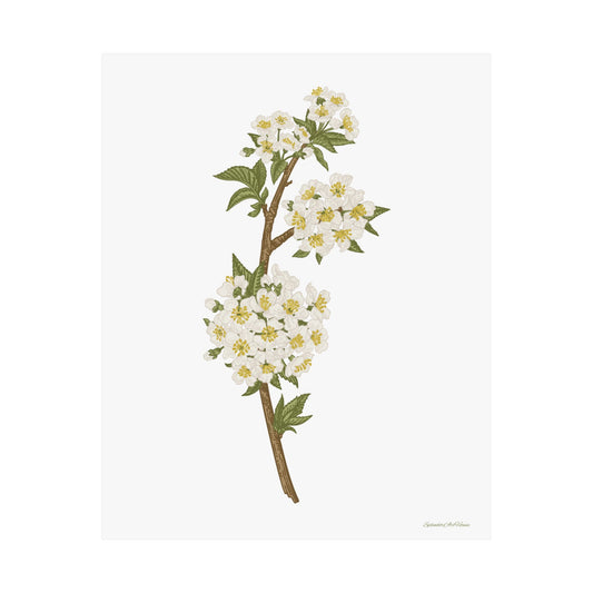 Floral, Matte Vertical Poster