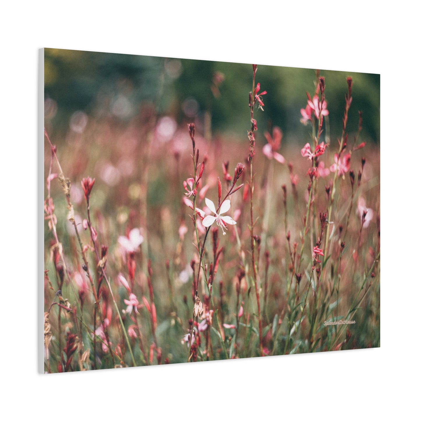 Floral, Matte Canvas, Stretched, 1.25"