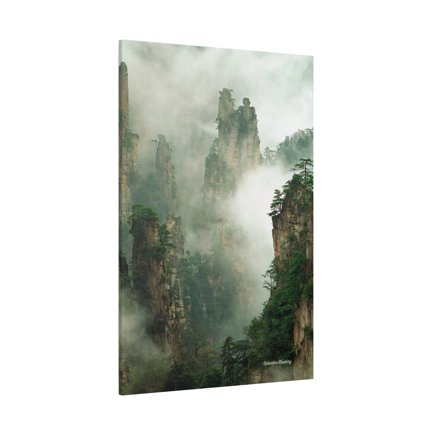 Forest, Matte Canvas, Stretched, 1.25"