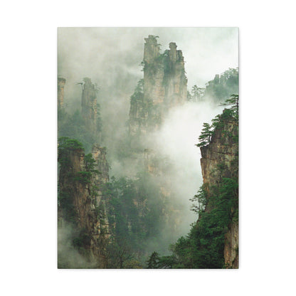 Forest, Matte Canvas, Stretched, 1.25"