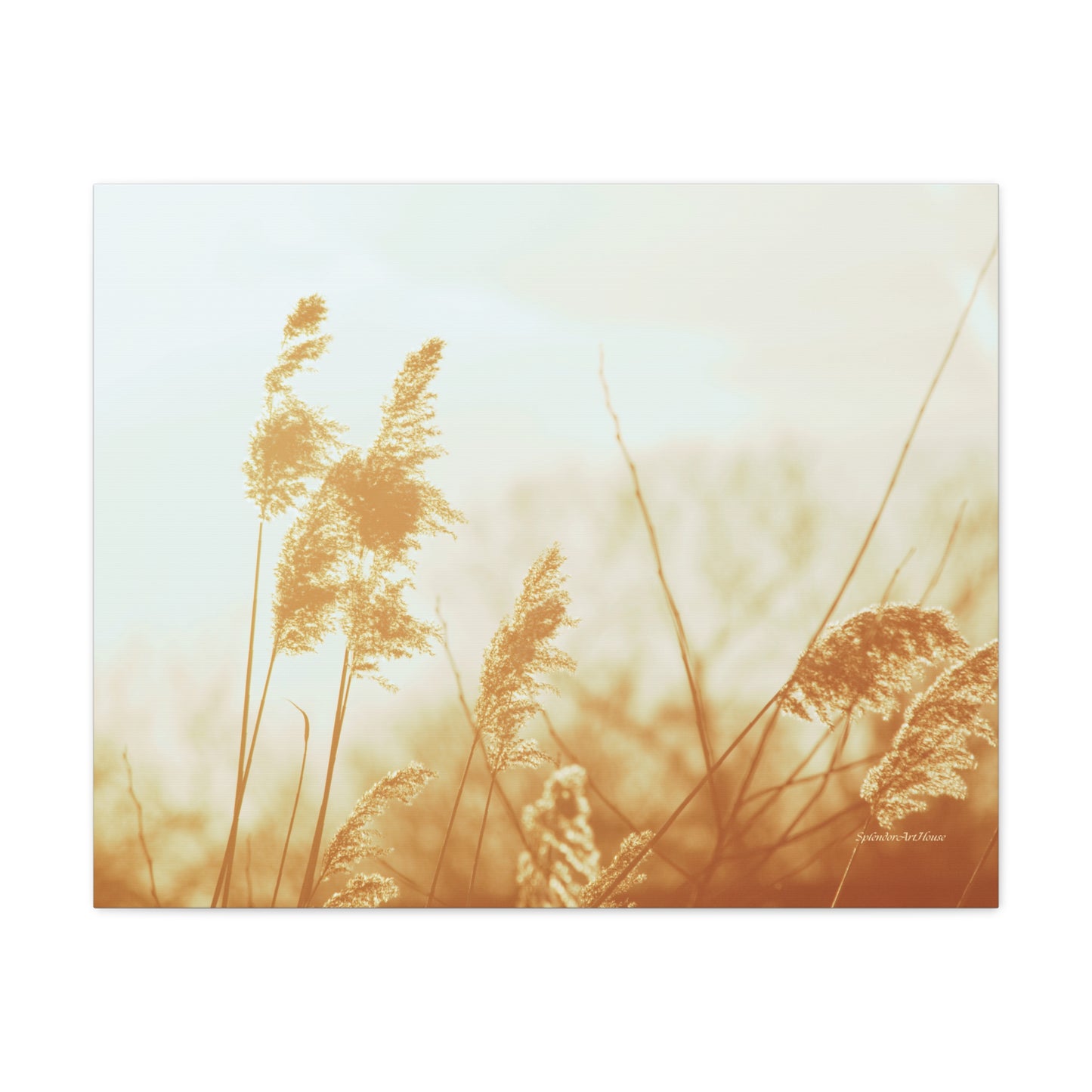 Grass, Matte Canvas, Stretched, 1.25"