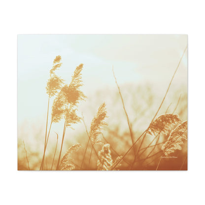 Grass, Matte Canvas, Stretched, 1.25"