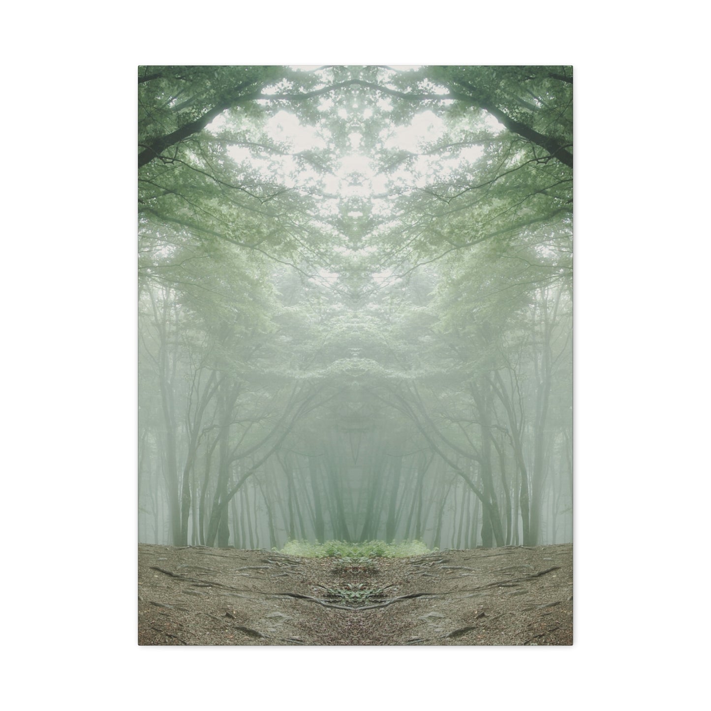 Forest, Matte Canvas, Stretched, 1.25"