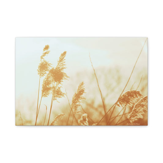 Grass, Matte Canvas, Stretched, 1.25"