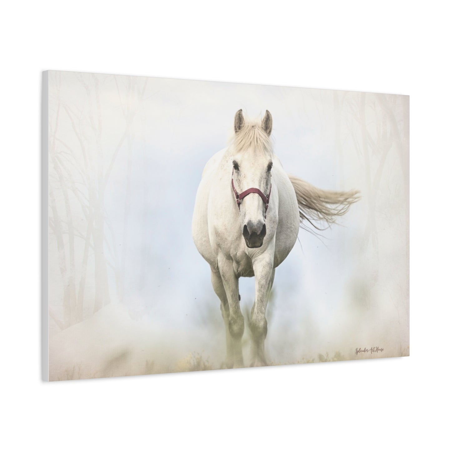 Horse, Matte Canvas, Stretched, 1.25"