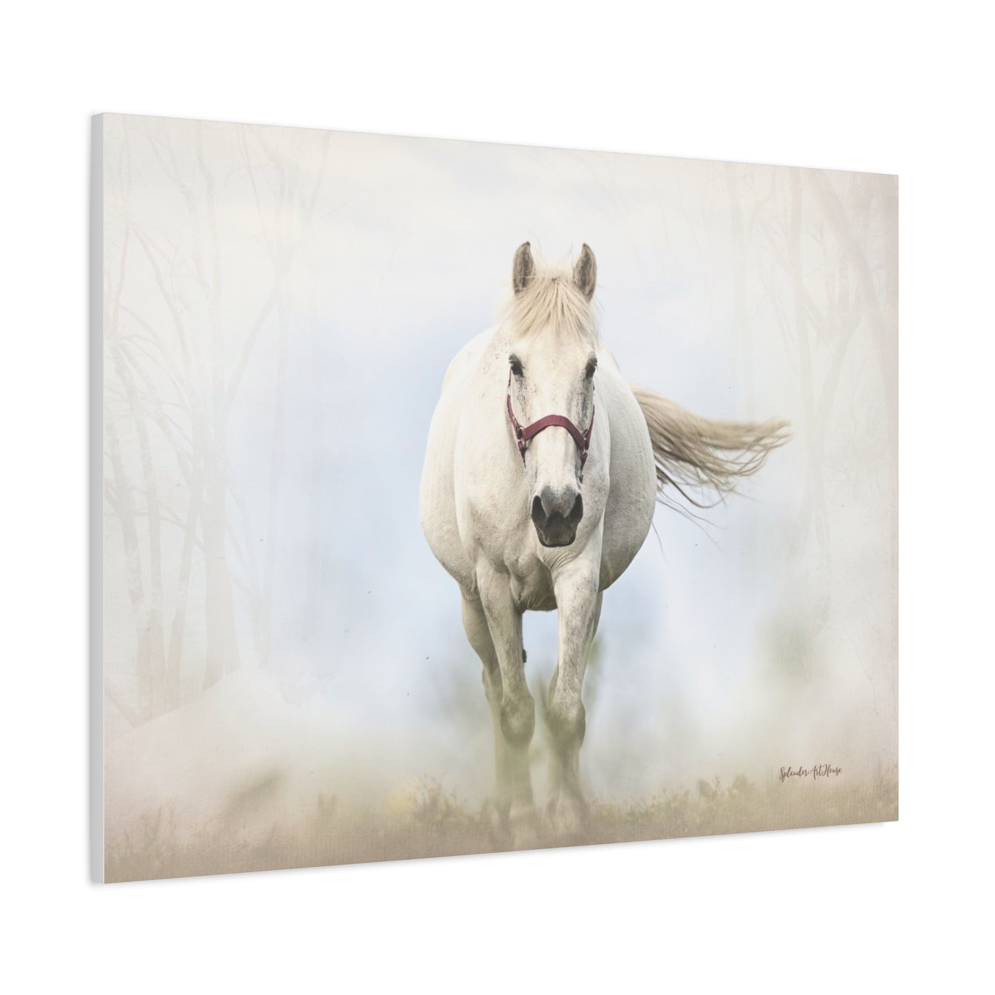 Horse, Matte Canvas, Stretched, 1.25"