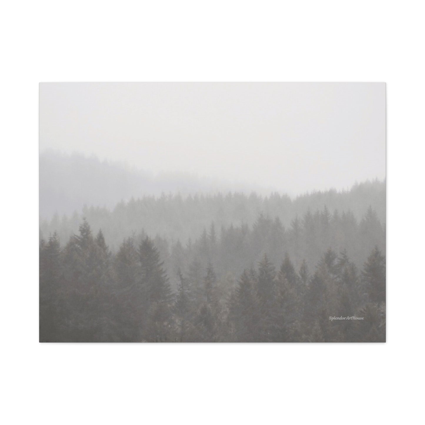 Forest, Matte Canvas, Stretched, 1.25"