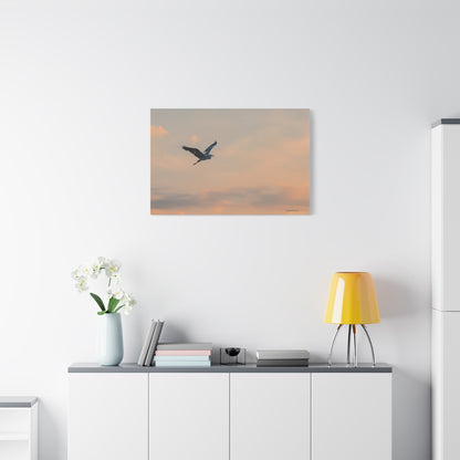 Bird, Matte Canvas, Stretched, 1.25"