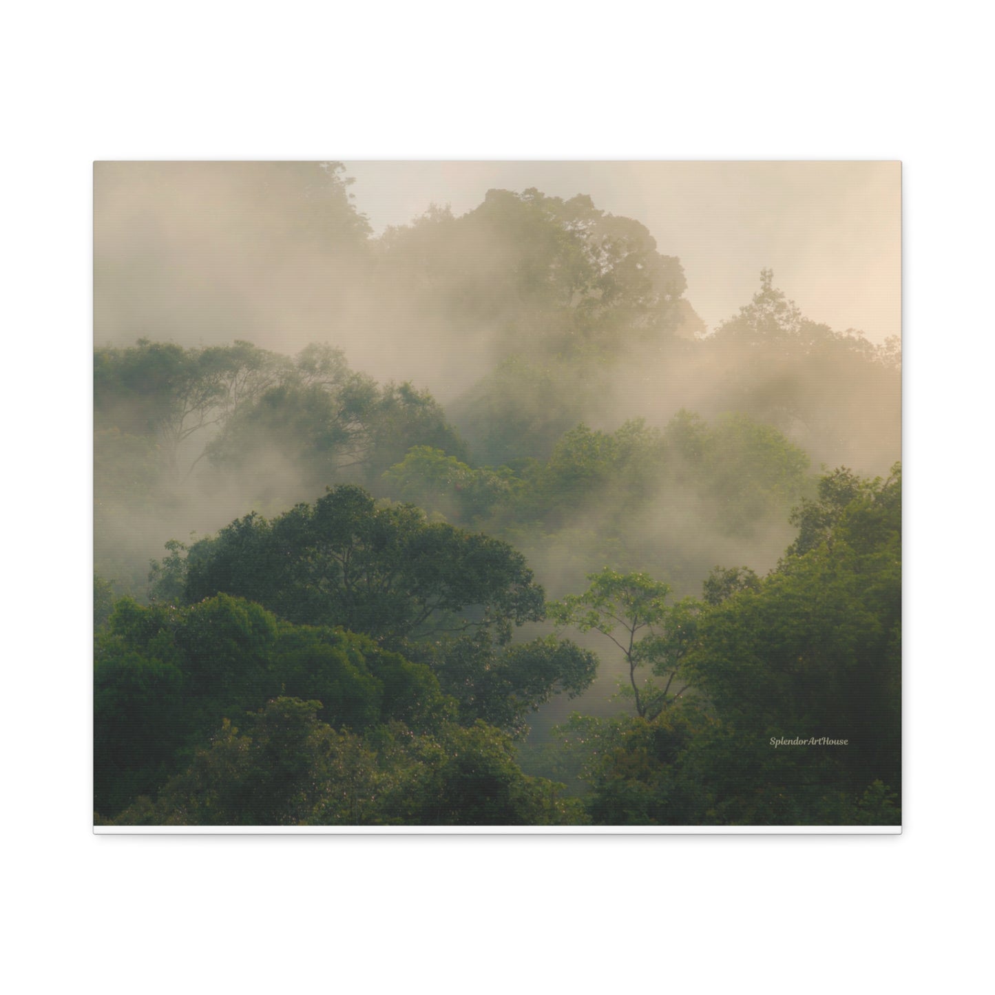 Forest, Matte Canvas, Stretched, 1.25"