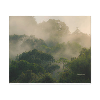 Forest, Matte Canvas, Stretched, 1.25"