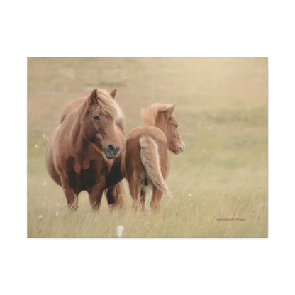 Wild Horses, Matte Canvas, Stretched, 1.25"