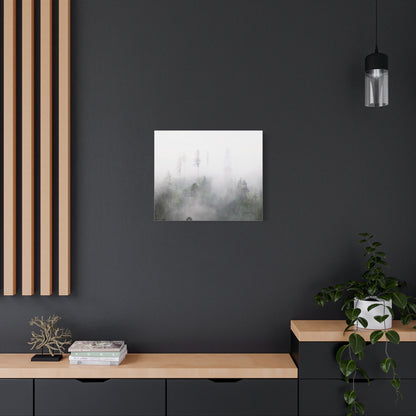 Forest, Matte Canvas, Stretched, 1.25"