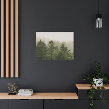 Forest, Matte Canvas, Stretched, 1.25"