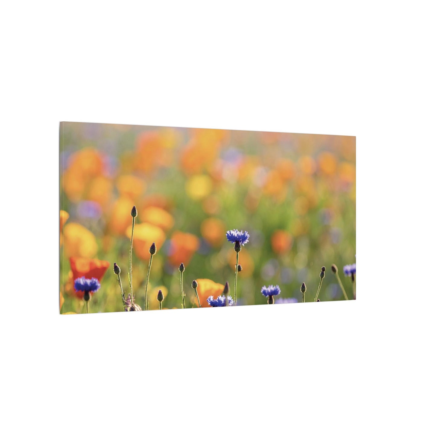 Floral, Matte Canvas, Stretched, 0.75"