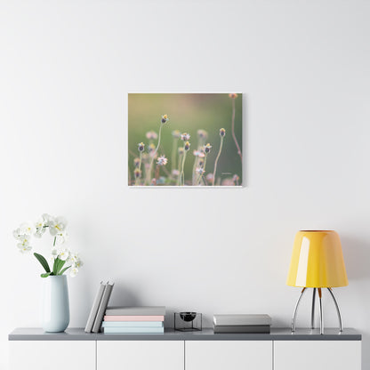 Floral, Matte Canvas, Stretched, 1.25"