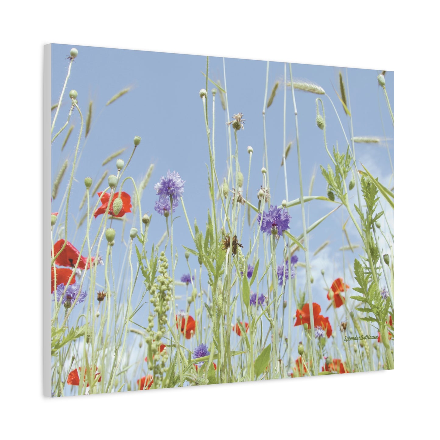Floral, Matte Canvas, Stretched, 1.25"
