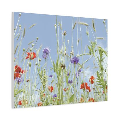 Floral, Matte Canvas, Stretched, 1.25"