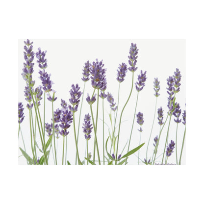 Floral, Matte Poster