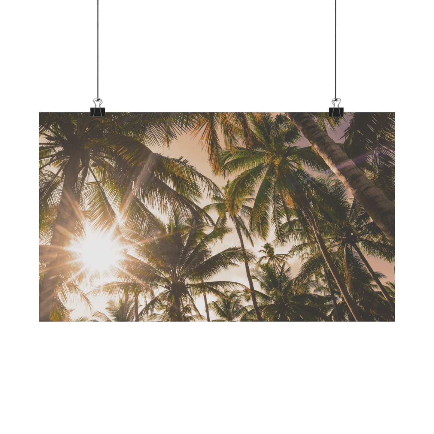 Palm Trees, Matte Horizontal Poster