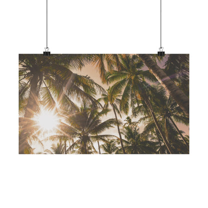Palm Trees, Matte Horizontal Poster