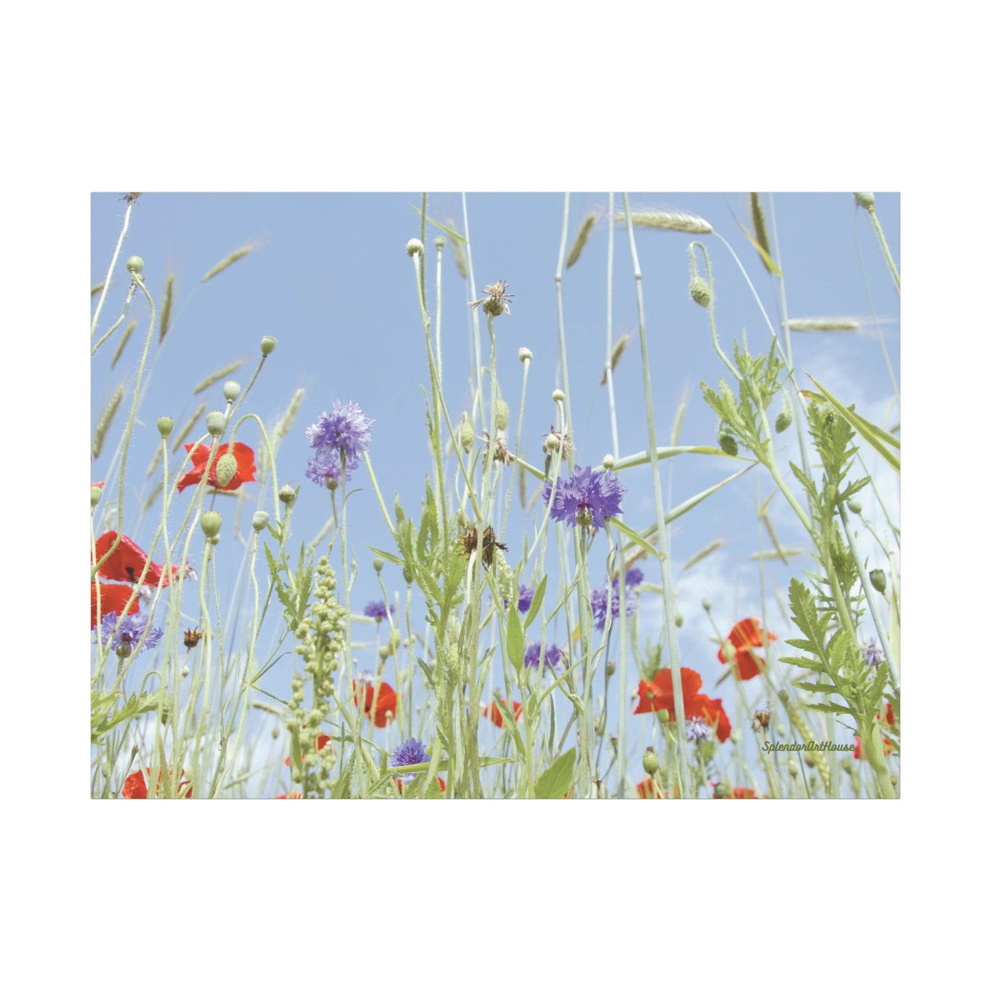 Floral, Matte Canvas, Stretched, 1.25"