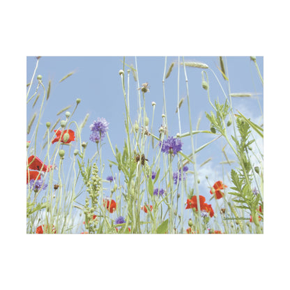 Floral, Matte Canvas, Stretched, 1.25"