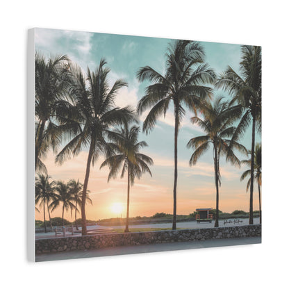 Palm Trees, Matte Canvas, Stretched, 1.25"