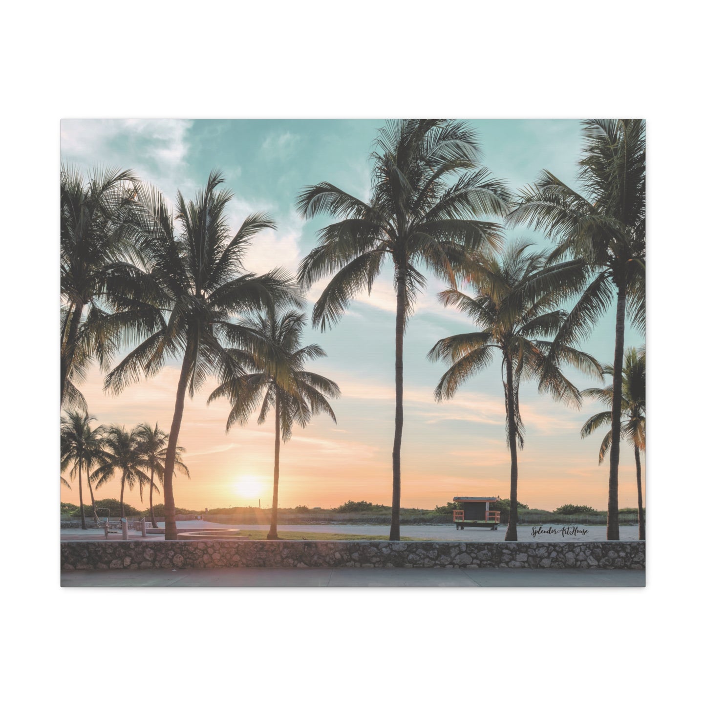 Palm Trees, Matte Canvas, Stretched, 1.25"