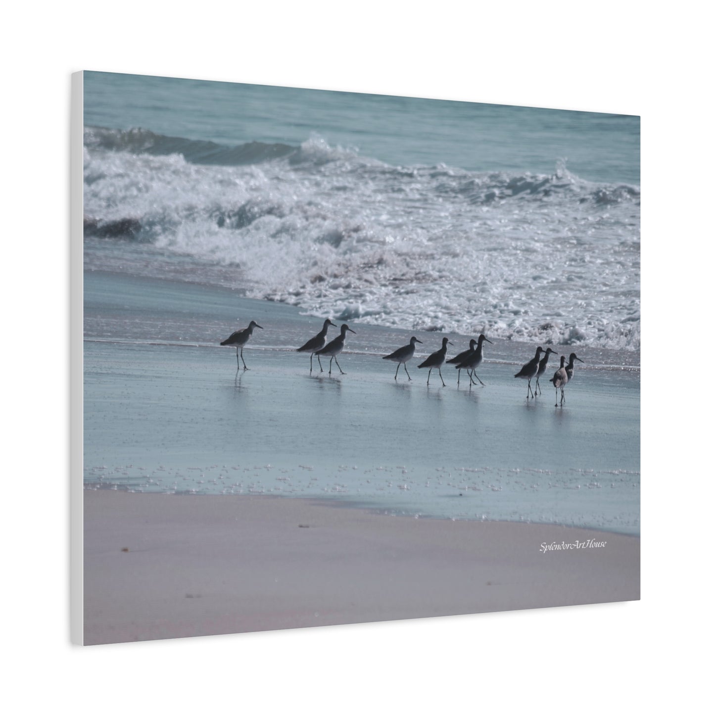 Birds, Matte Canvas, Stretched, 1.25"