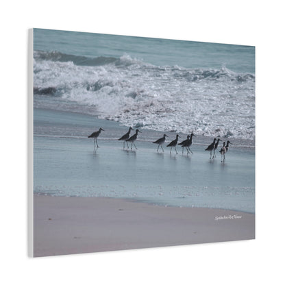 Birds, Matte Canvas, Stretched, 1.25"