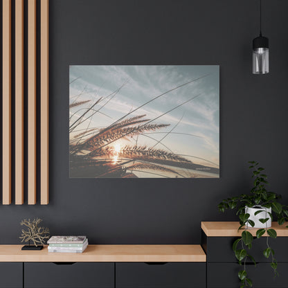 Grass, Matte Canvas, Stretched, 1.25"